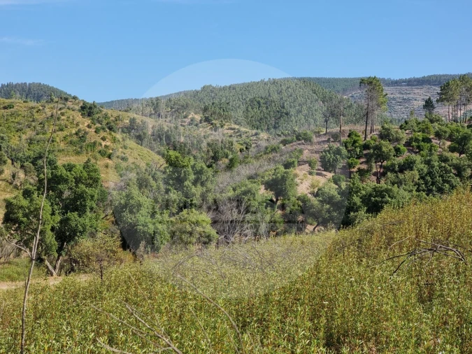 Quinta T5 para Venda em Saboia Foto 16