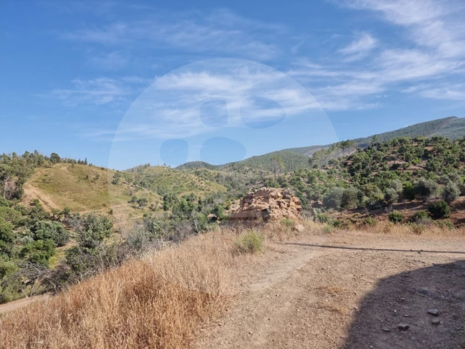 Quinta T5 para Venda em Saboia Foto 17