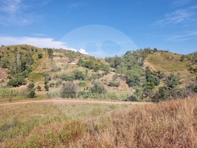 Quinta T5 para Venda em Saboia Foto 3