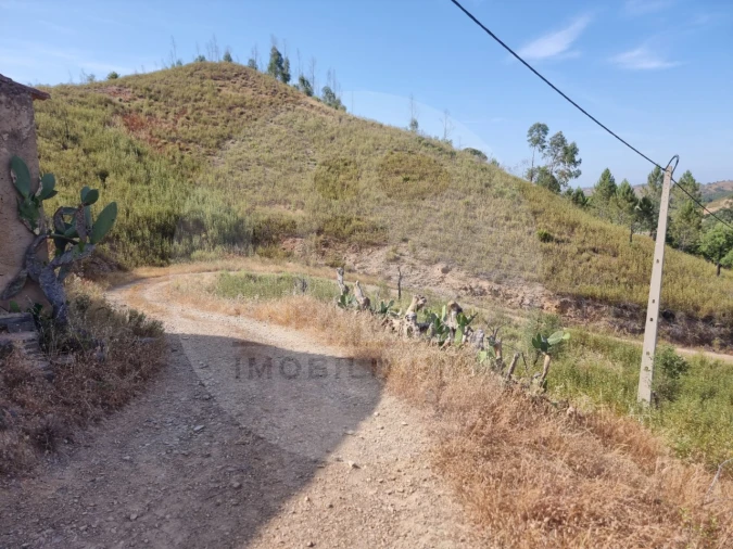 Quinta T5 para Venda em Saboia Foto 18