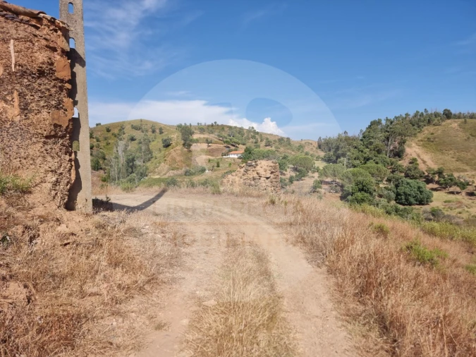 Quinta T5 para Venda em Saboia Foto 5