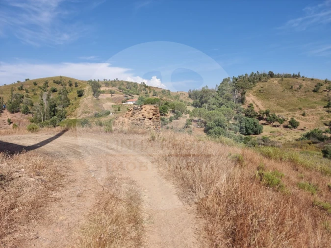 Quinta T5 para Venda em Saboia Foto 21