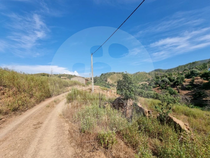 Quinta T5 para Venda em Saboia Foto 33