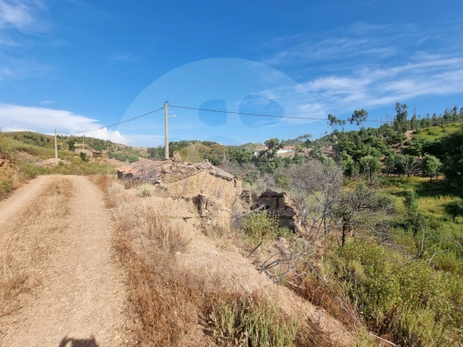 Quinta T5 para Venda em Saboia Foto 41