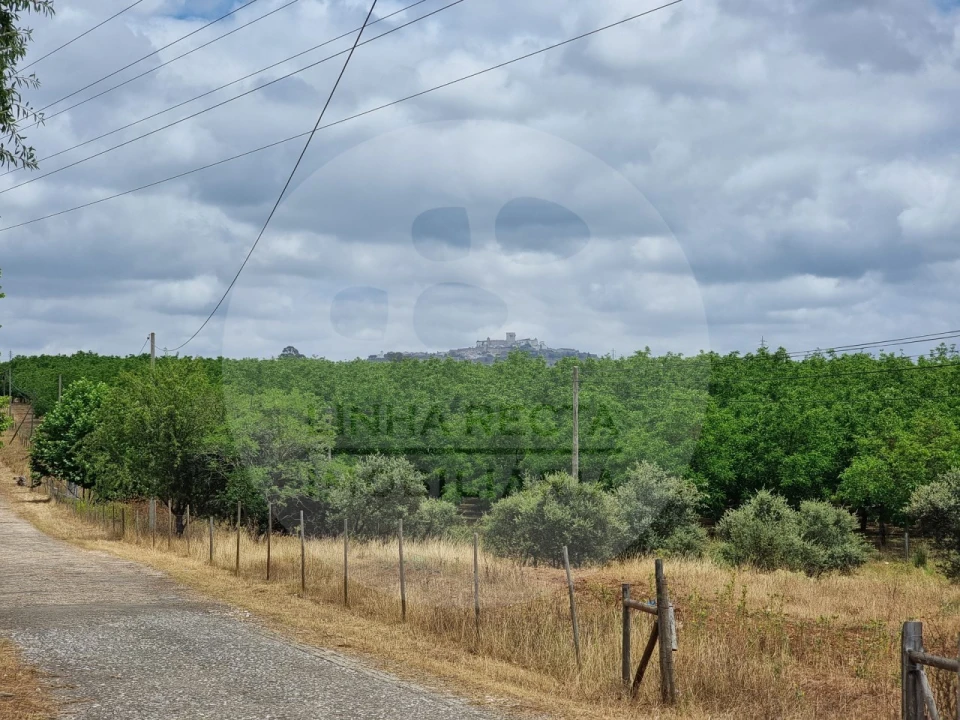 Terreno Comércio / Armazém para Venda em Estremoz (Santa Maria e Santo André) Foto 2