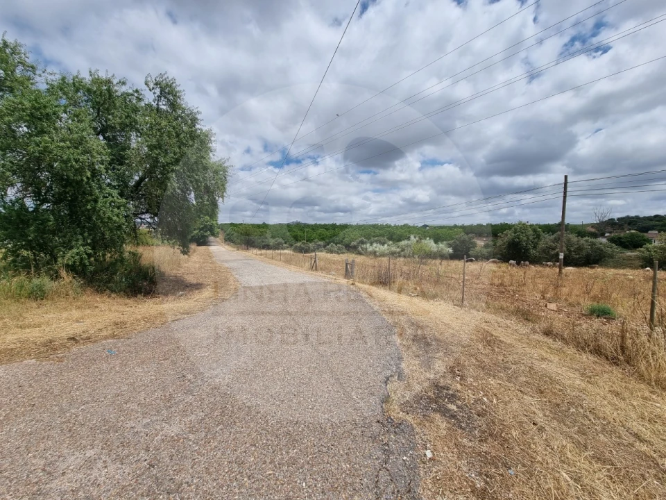 Terreno Comércio / Armazém para Venda em Estremoz (Santa Maria e Santo André) Foto 3