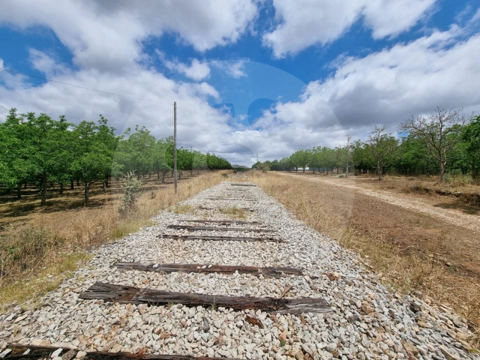 Terreno Comércio / Armazém para Venda em Estremoz (Santa Maria e Santo André) Foto 4