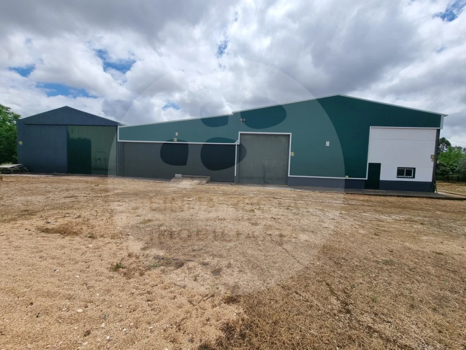 Terreno Comércio / Armazém para Venda em Estremoz (Santa Maria e Santo André) Foto 9
