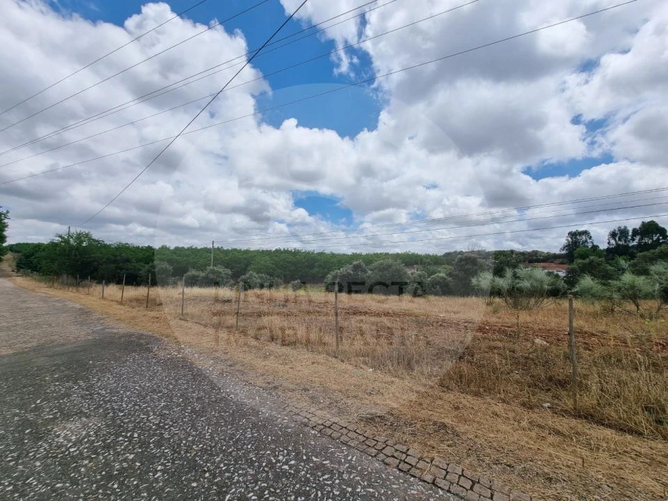 Terreno Comércio / Armazém para Venda em Estremoz (Santa Maria e Santo André) Foto 10