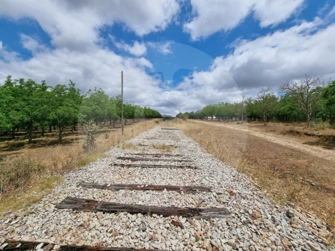 Terreno Comércio / Armazém para Venda em Estremoz (Santa Maria e Santo André) Foto 4