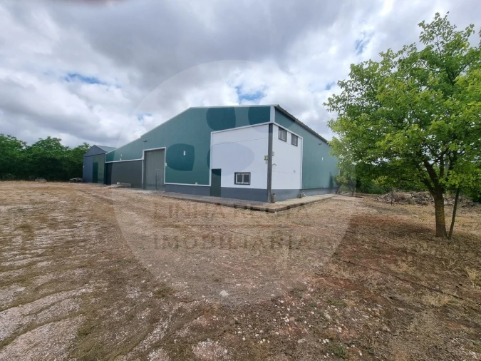 Terreno Comércio / Armazém para Venda em Estremoz (Santa Maria e Santo André) Foto 11