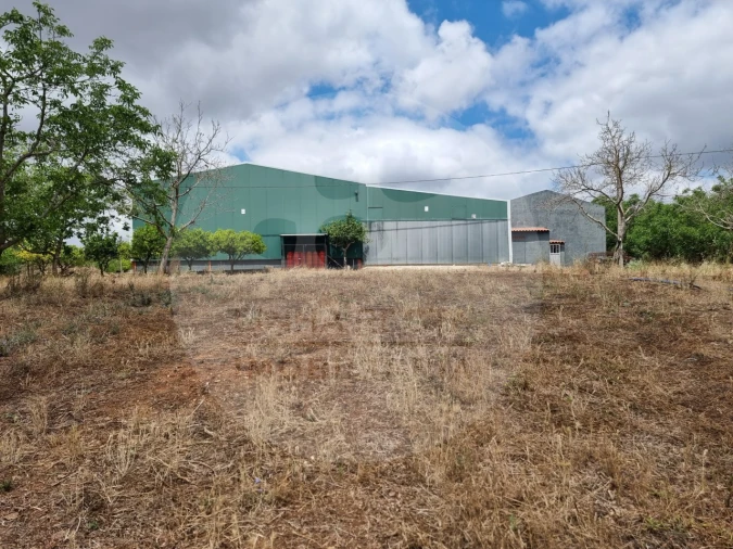 Terreno Comércio / Armazém para Venda em Estremoz (Santa Maria e Santo André) Foto 12