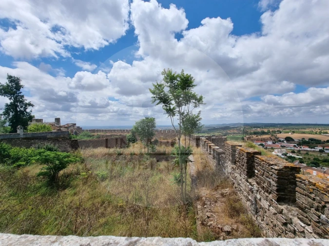 Terreno Comércio / Armazém para Venda em Estremoz (Santa Maria e Santo André) Foto 17
