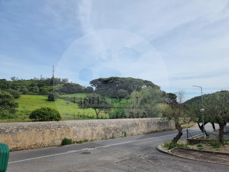 Terreno P/ Prédio para Venda em Sesimbra (Castelo) Foto 15