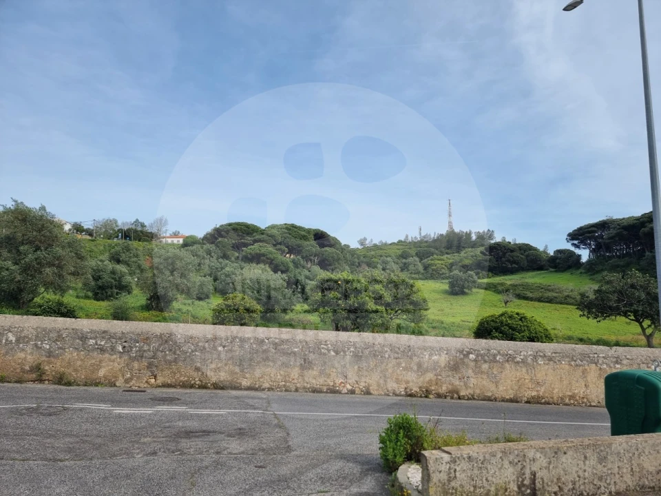 Terreno P/ Prédio para Venda em Sesimbra (Castelo) Foto 17