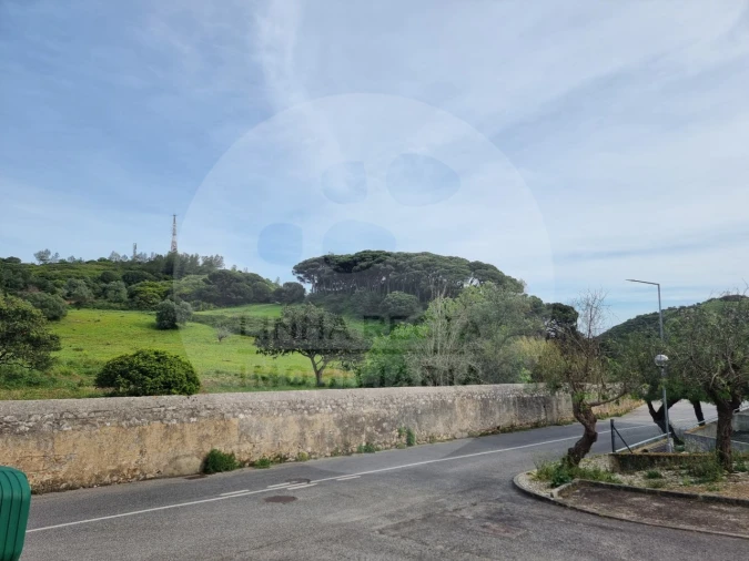 Terreno P/ Prédio para Venda em Sesimbra (Castelo) Foto 15