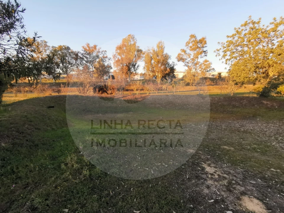 Quinta T4 para Venda em Almodôvar e Graça dos Padrões Foto 48