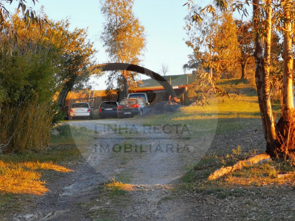 Quinta T4 para Venda em Almodôvar e Graça dos Padrões Foto 49