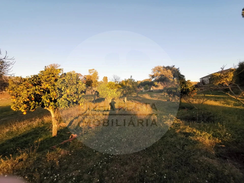 Quinta T4 para Venda em Almodôvar e Graça dos Padrões Foto 54