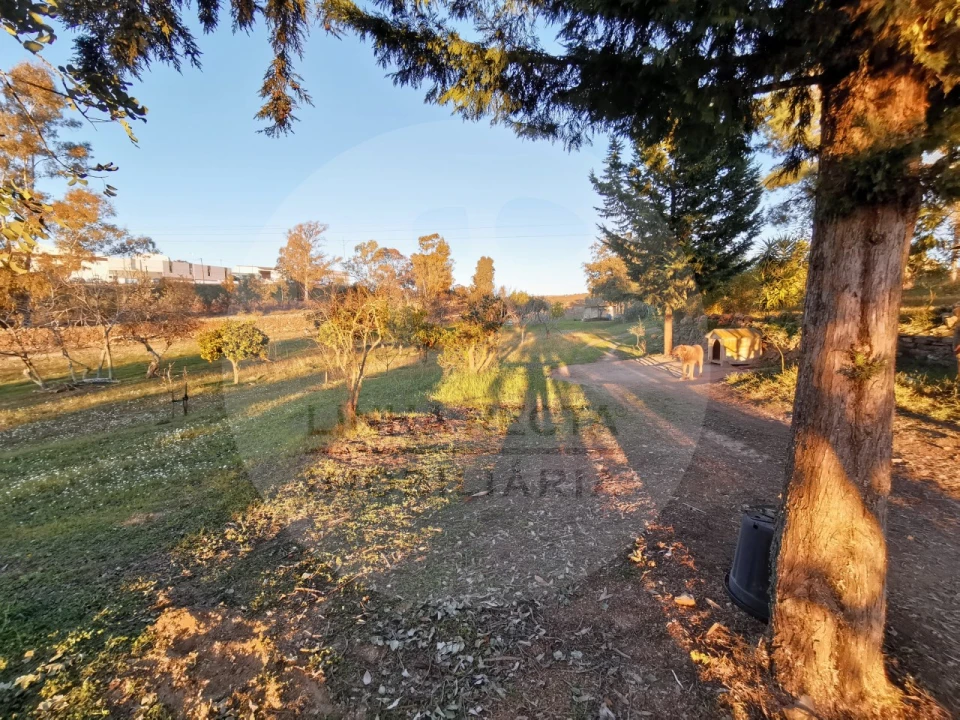 Quinta T4 para Venda em Almodôvar e Graça dos Padrões Foto 55
