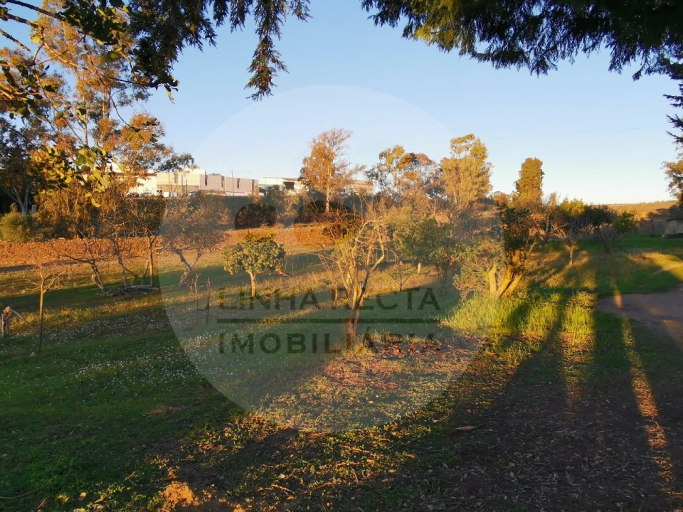 Quinta T4 para Venda em Almodôvar e Graça dos Padrões Foto 56