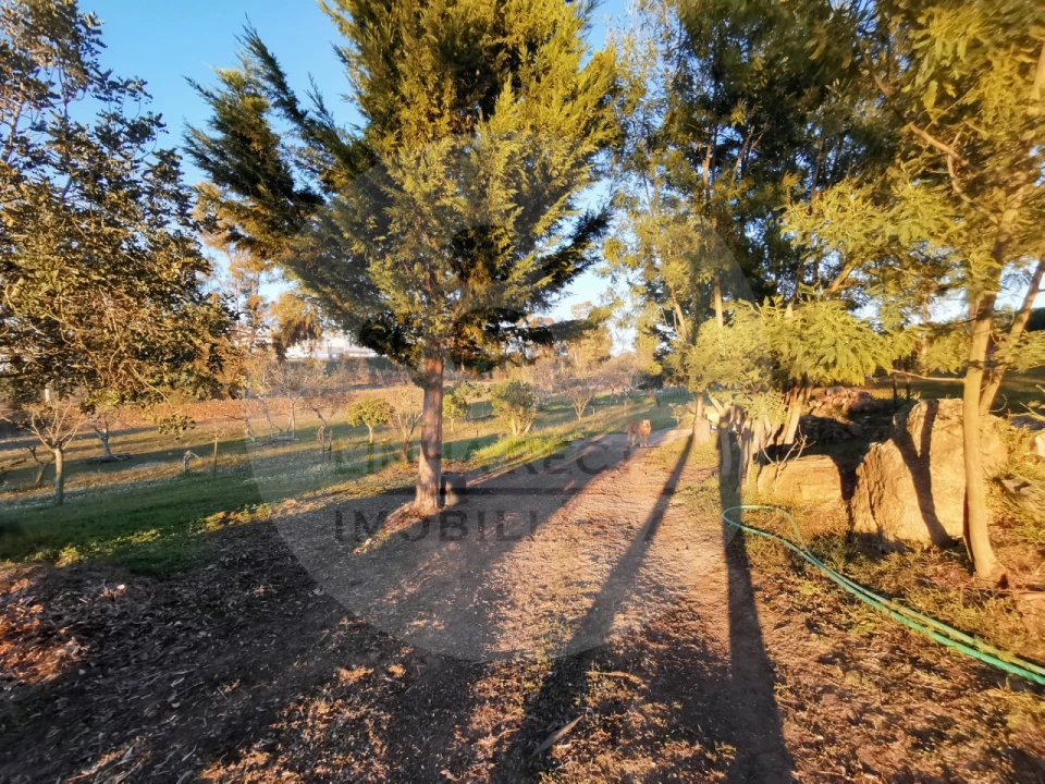Quinta T4 para Venda em Almodôvar e Graça dos Padrões Foto 57