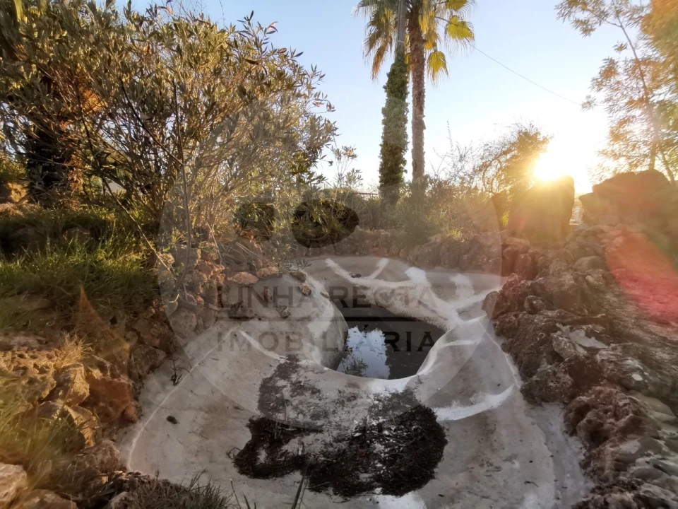 Quinta T4 para Venda em Almodôvar e Graça dos Padrões Foto 61