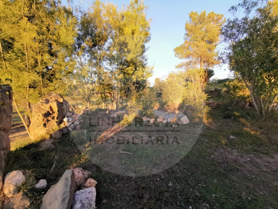 Quinta T4 para Venda em Almodôvar e Graça dos Padrões Foto 62