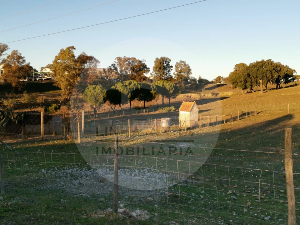 Quinta T4 para Venda em Almodôvar e Graça dos Padrões Foto 66