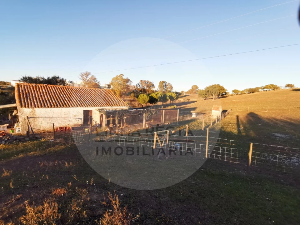 Quinta T4 para Venda em Almodôvar e Graça dos Padrões Foto 68