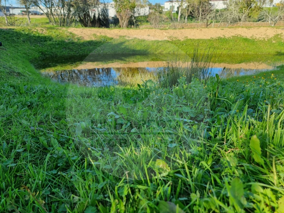 Quinta T4 para Venda em Almodôvar e Graça dos Padrões Foto 84