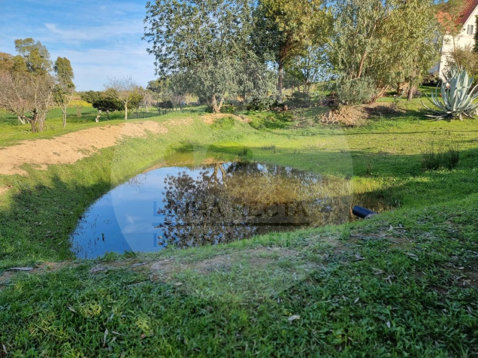 Quinta T4 para Venda em Almodôvar e Graça dos Padrões Foto 85