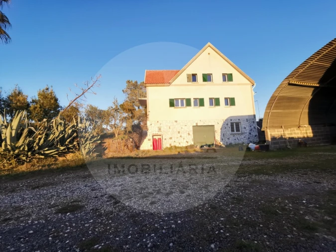 Quinta T4 para Venda em Almodôvar e Graça dos Padrões Foto 47