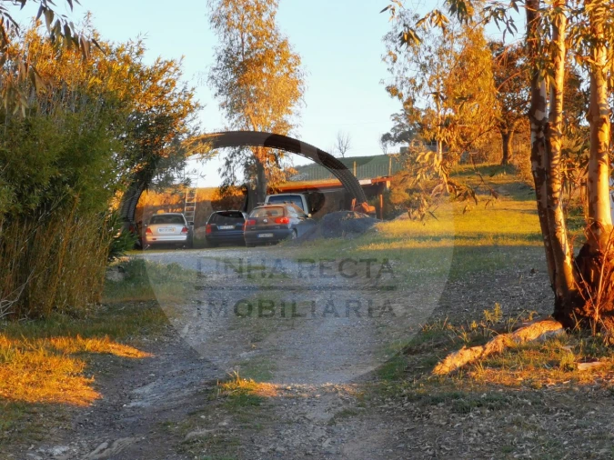 Quinta T4 para Venda em Almodôvar e Graça dos Padrões Foto 49