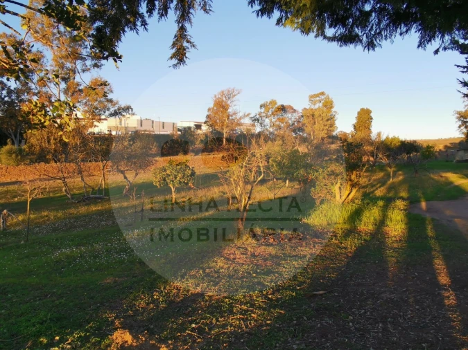 Quinta T4 para Venda em Almodôvar e Graça dos Padrões Foto 56