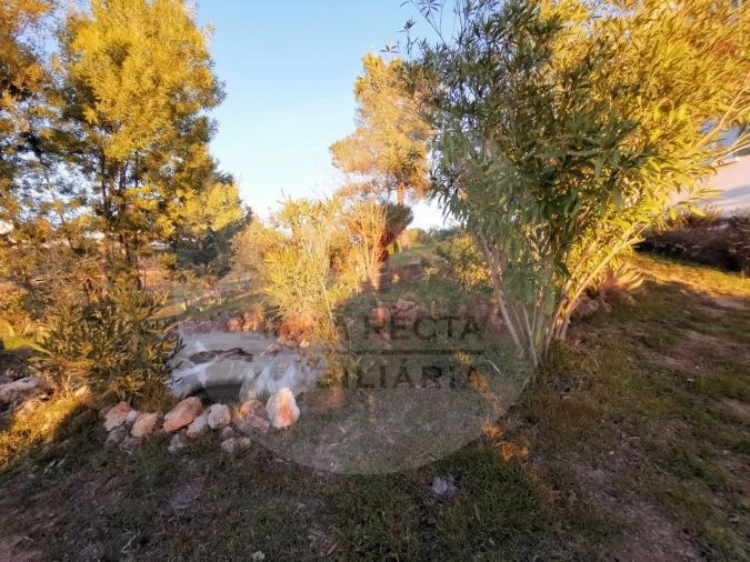 Quinta T4 para Venda em Almodôvar e Graça dos Padrões Foto 59