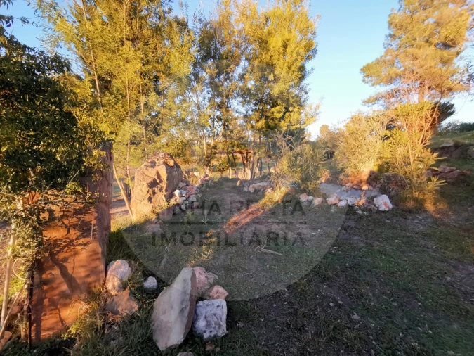 Quinta T4 para Venda em Almodôvar e Graça dos Padrões Foto 60