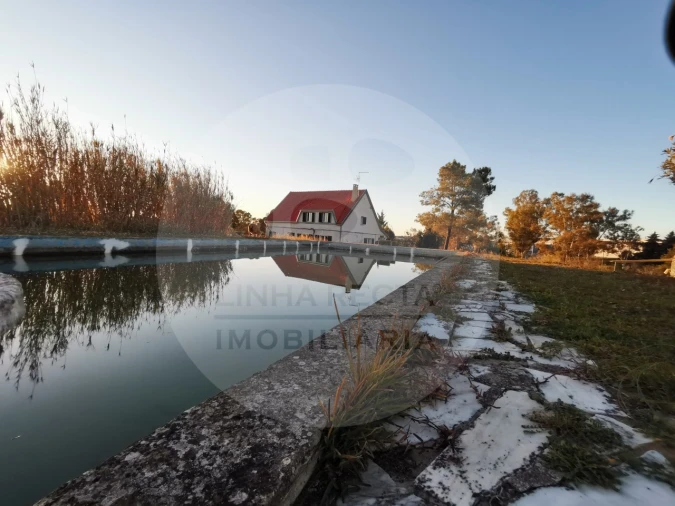 Quinta T4 para Venda em Almodôvar e Graça dos Padrões Foto 64