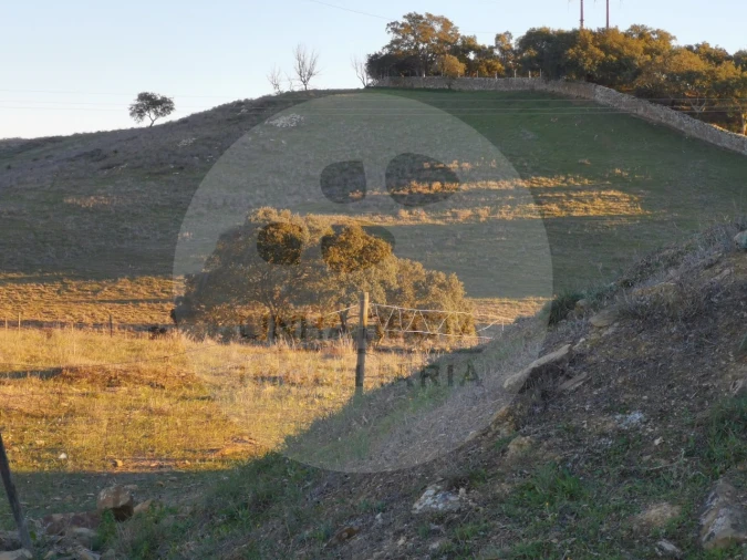 Quinta T4 para Venda em Almodôvar e Graça dos Padrões Foto 67