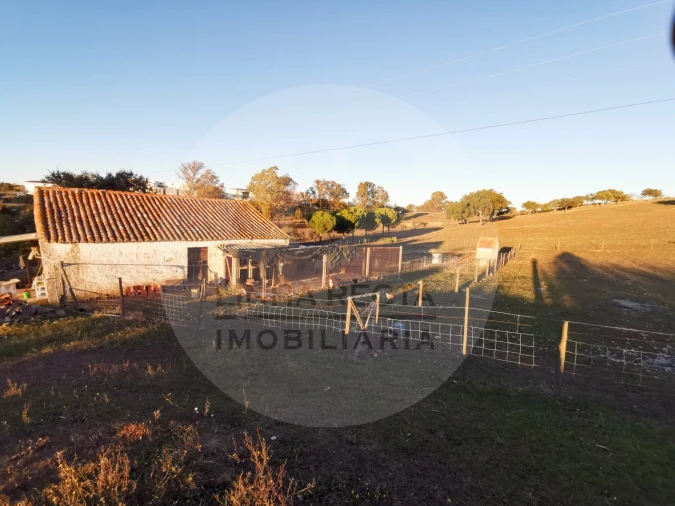 Quinta T4 para Venda em Almodôvar e Graça dos Padrões Foto 68