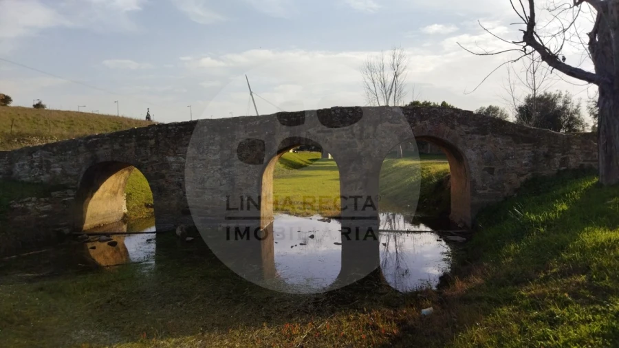 Quinta T4 para Venda em Almodôvar e Graça dos Padrões Foto 73