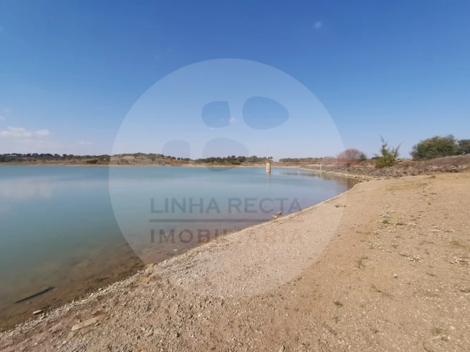 Quinta T4 para Venda em Almodôvar e Graça dos Padrões Foto 76