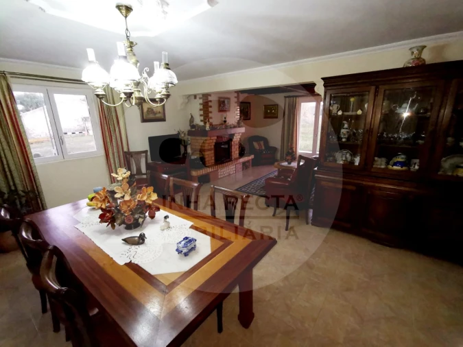 Quinta T4 para Venda em Almodôvar e Graça dos Padrões Foto 23