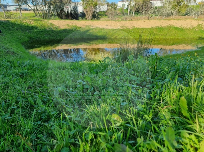 Quinta T4 para Venda em Almodôvar e Graça dos Padrões Foto 84