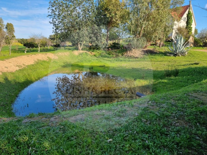Quinta T4 para Venda em Almodôvar e Graça dos Padrões Foto 2