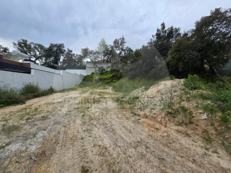 Terreno para Venda em Gambia-Pontes-Alto da Guerra Foto 4