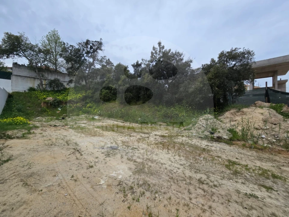 Terreno para Venda em Gambia-Pontes-Alto da Guerra Foto 2