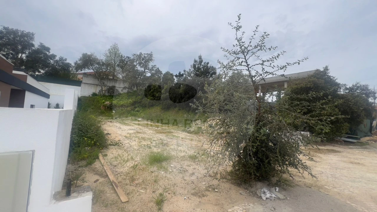 Terreno para Venda em Gambia-Pontes-Alto da Guerra Foto 14