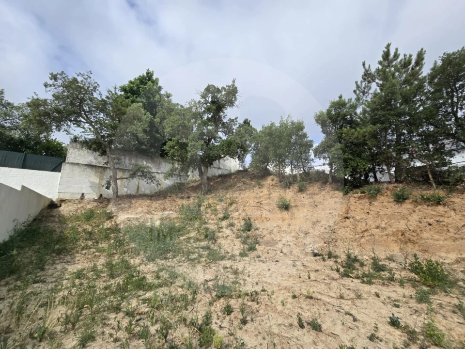 Terreno para Venda em Gambia-Pontes-Alto da Guerra Foto 5