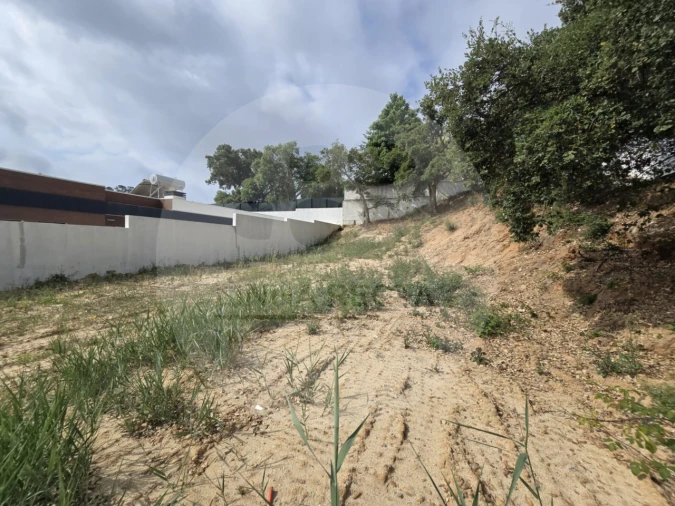 Terreno para Venda em Gambia-Pontes-Alto da Guerra Foto 3
